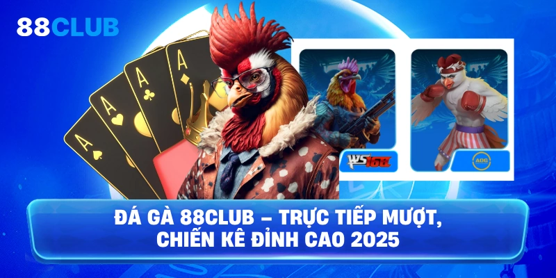 Đá Gà 88Club – Trực tiếp mượt, chiến kê đỉnh cao 2025